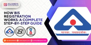 How BIS Registration Works